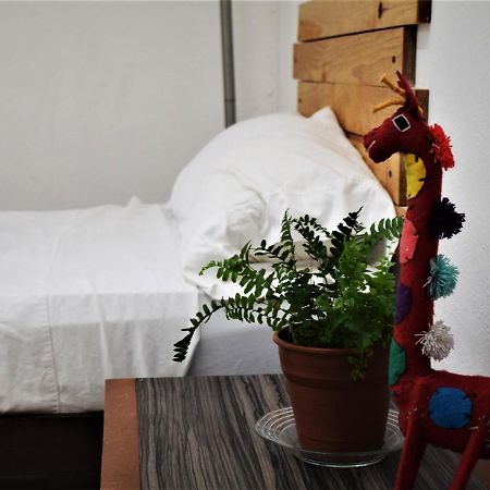 Hostal Casa Bohemia メリダ エクステリア 写真