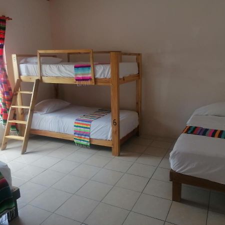 Hostal Casa Bohemia メリダ エクステリア 写真