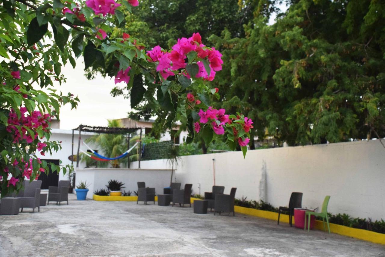Hostal Casa Bohemia メリダ エクステリア 写真