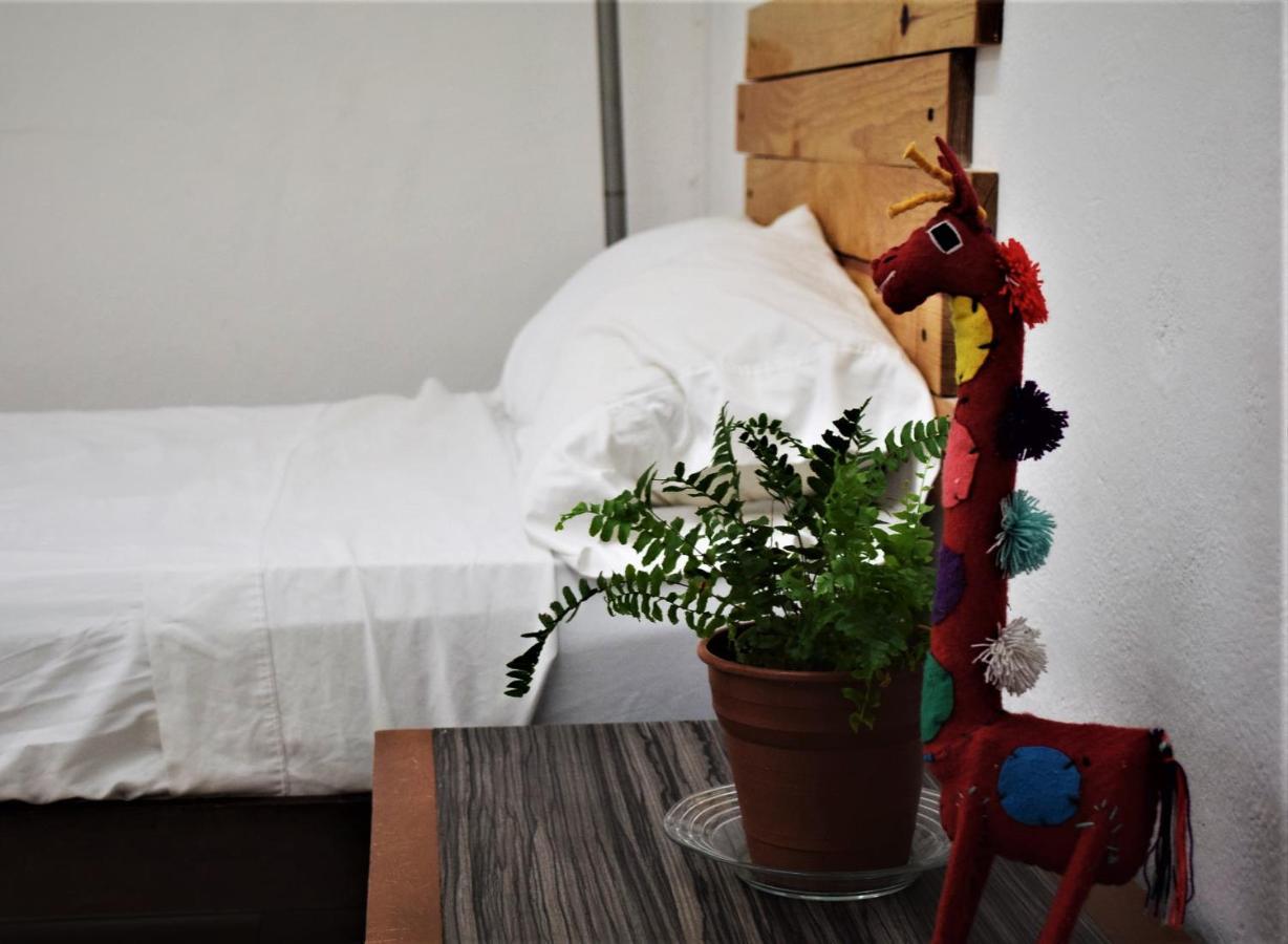 Hostal Casa Bohemia メリダ エクステリア 写真